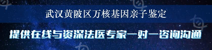 武汉黄陂区万核基因亲子鉴定